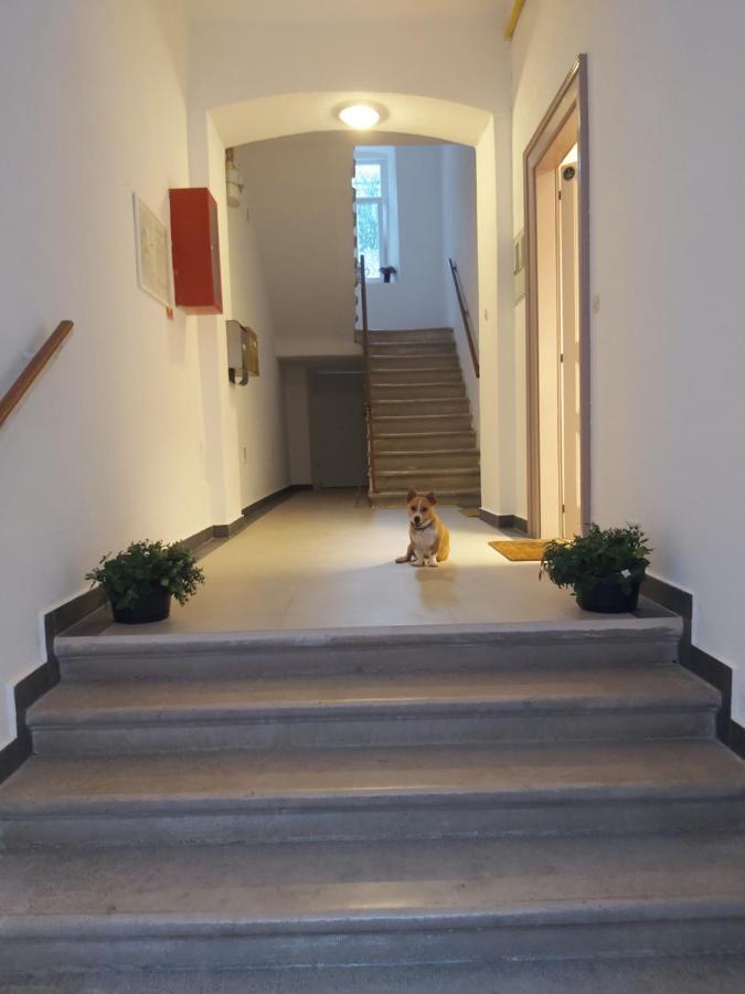 Apartman Draguc Pula Buitenkant foto